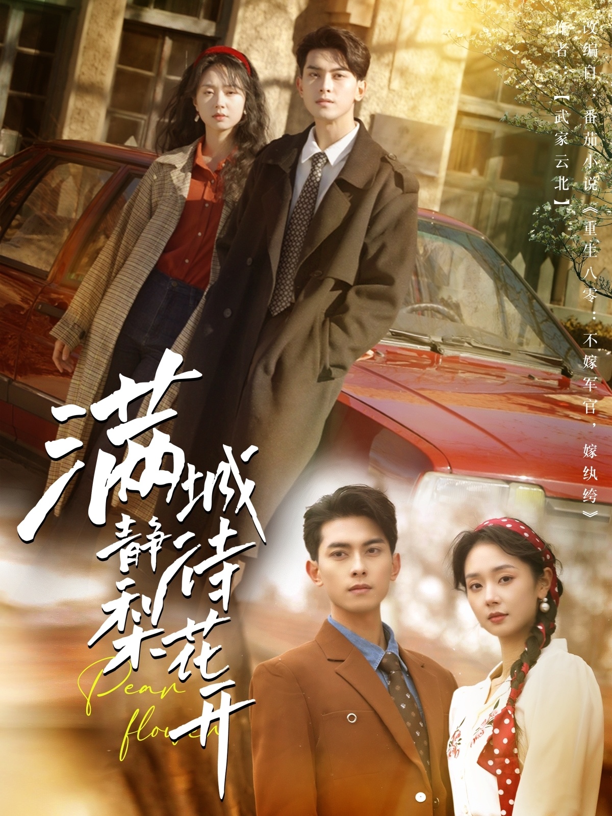 短剧《满城静待梨花开》 高清短剧全集免费在线，完整版观看更畅快