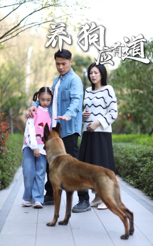 短剧《养狗应有道》 高清短剧全集在线，免费完整版欣赏  第1张