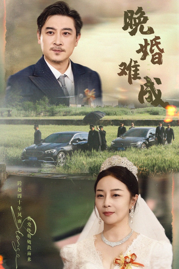 短剧《晚婚难成》 免费观看高清短剧，全集完整版在线无障碍享  第1张