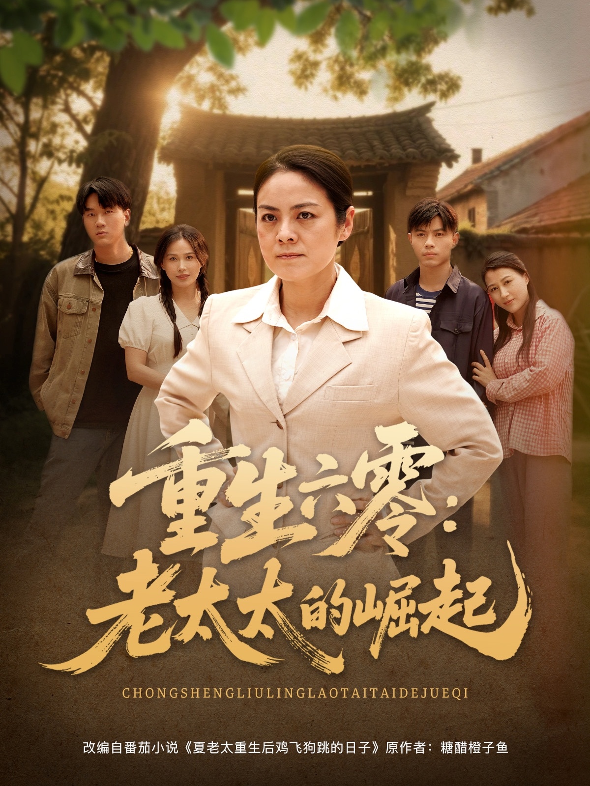 短剧《重生六零：老太太的崛起》 免费观看高清全集，在线播放完整版，大结局已完结！  第1张