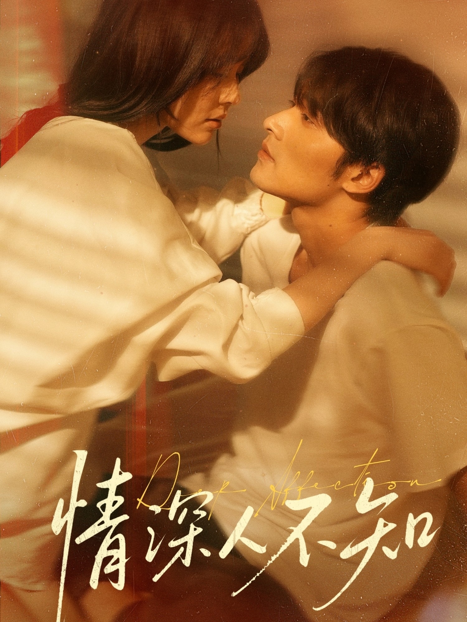 短剧《情深人不知》 短剧全集高清免费在线观看，大结局震撼揭晓  第1张