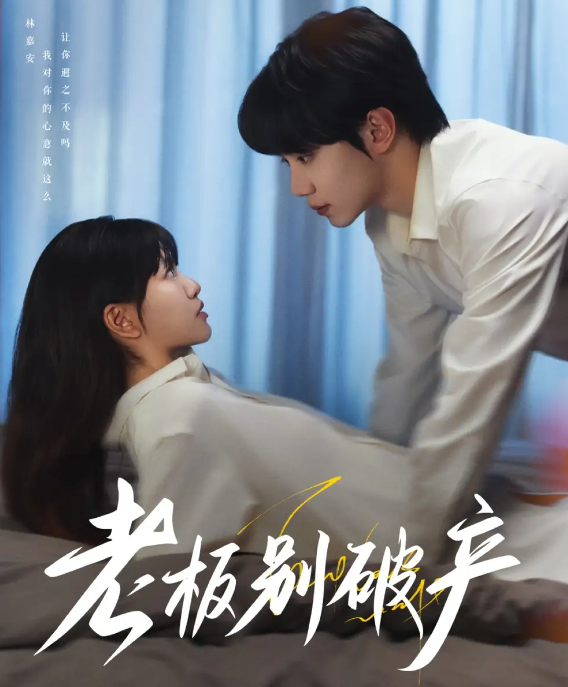 短剧《老板别破产》 全集免费在线观看，高清画质，大结局震撼来袭  第1张