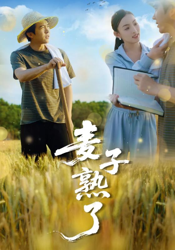 短剧《麦子熟了》 免费在线观看高清全集，完整版大结局已完结  第1张