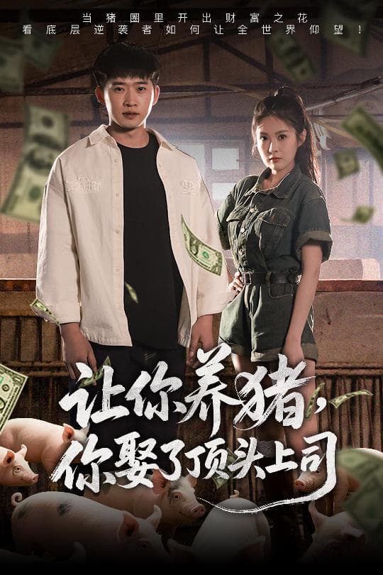 短剧《让你养猪，你娶了顶头上司》 全集免费在线，高清画质，大结局震撼揭晓  第1张