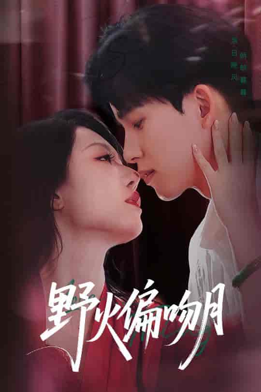 短剧《野火偏吻月》 免费在线观看高清全集，完整版大结局震撼来袭  第1张
