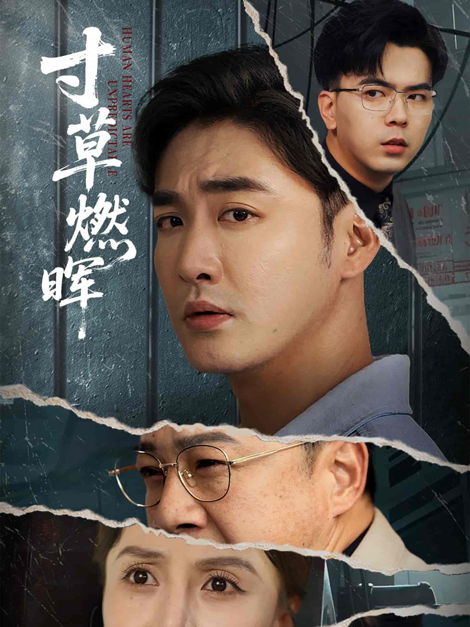 短剧《寸草燃晖》 免费看高清全集，大结局震撼揭晓  第1张