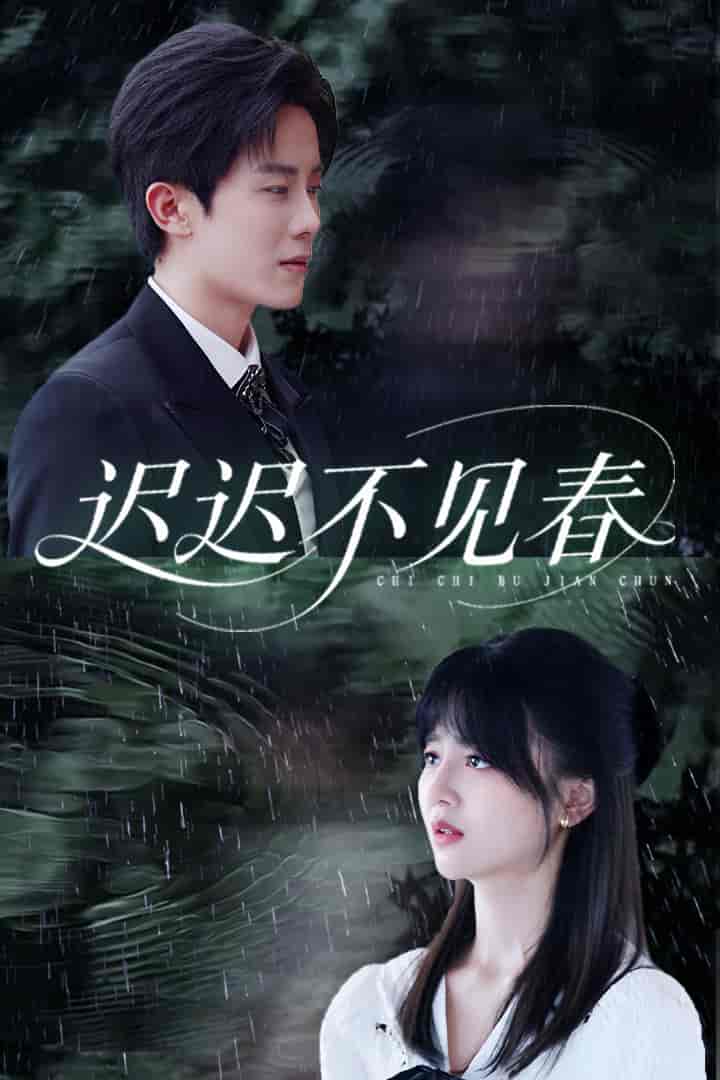 短剧《迟迟不见春》 全集免费在线，高清画质，大结局震撼揭晓  第1张