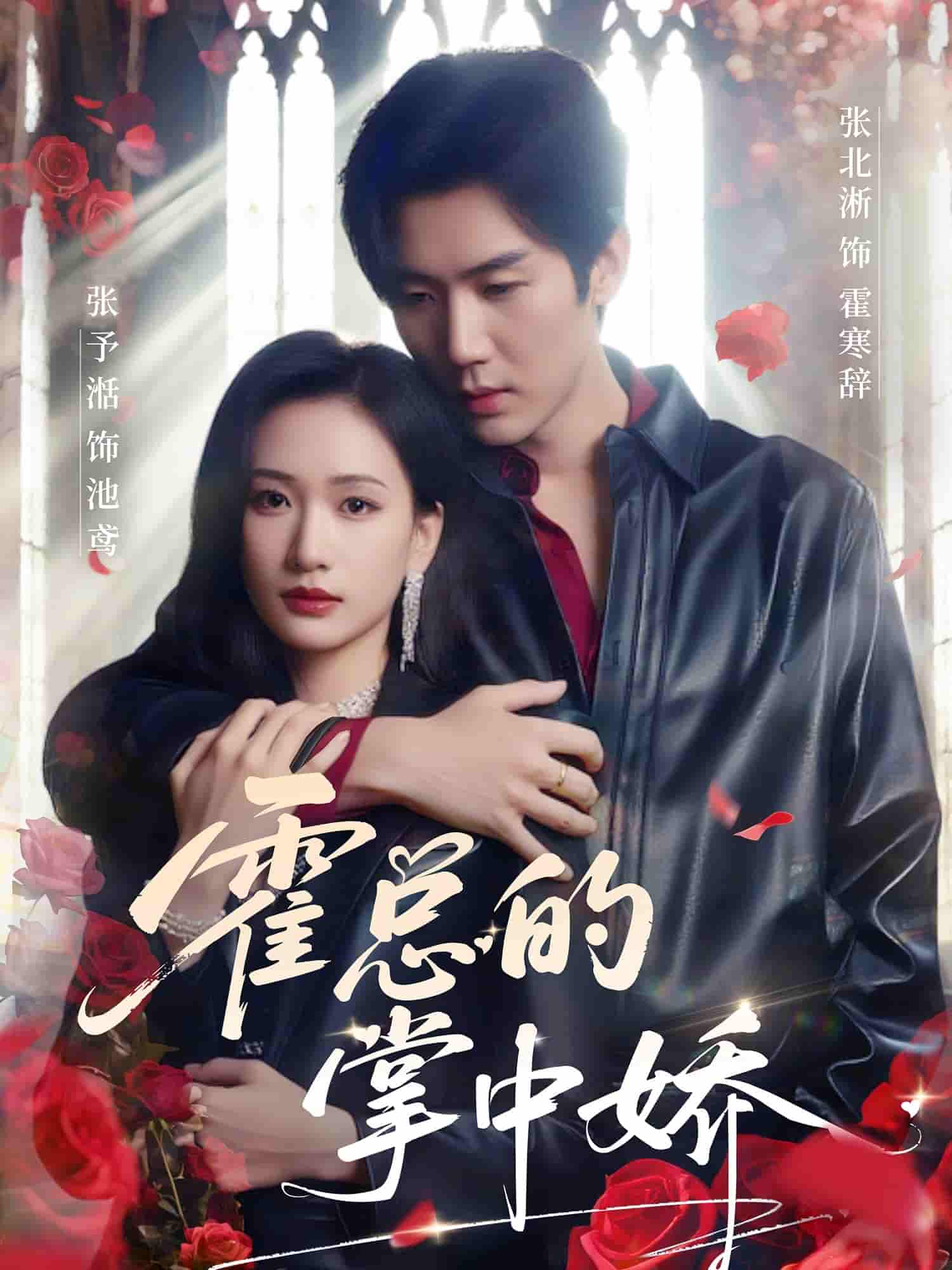 短剧《霍总的掌中娇》 免费在线观看高清全集，完整版大结局已完结  第1张