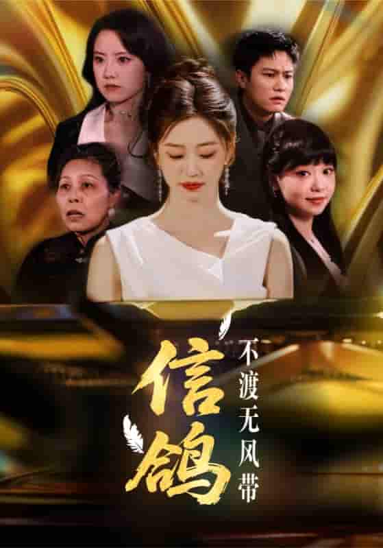 短剧《信鸽不渡无风带》 高清无码！全集免费在线观看，大结局震撼来袭  第1张