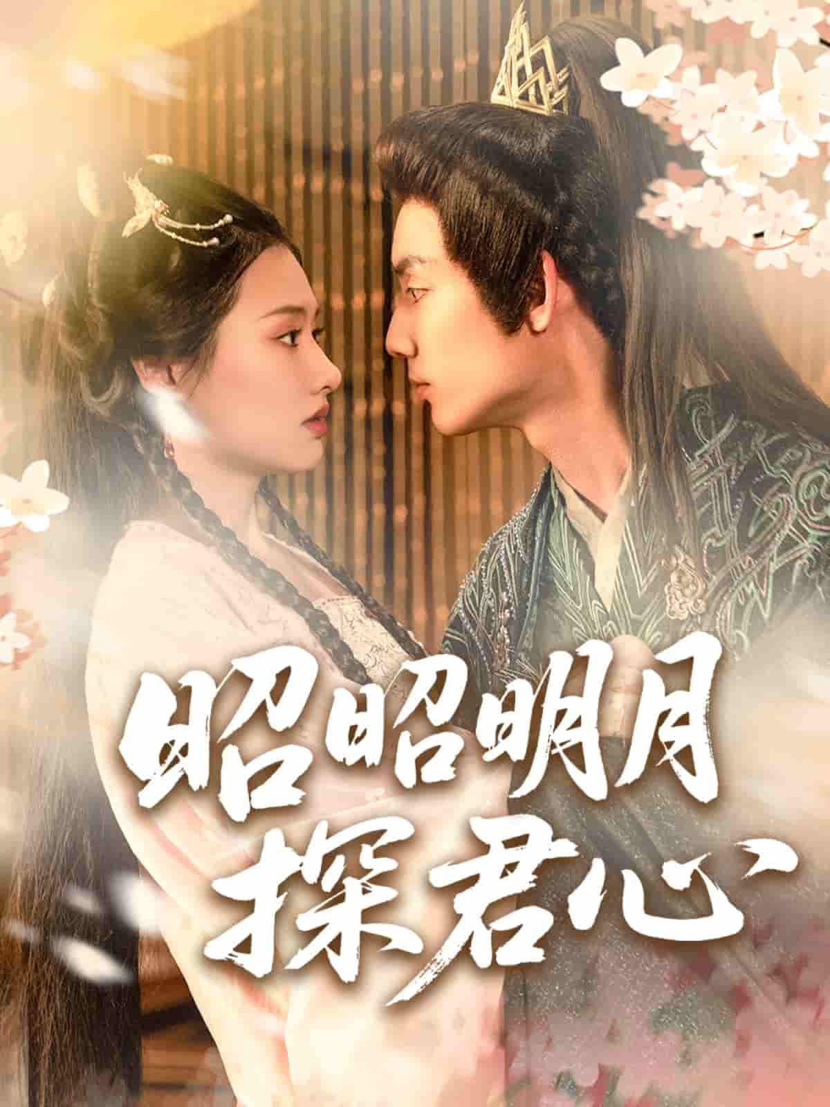 短剧《昭昭明月探君心》 免费观看高清短剧，全集完整版在线自由享  第1张