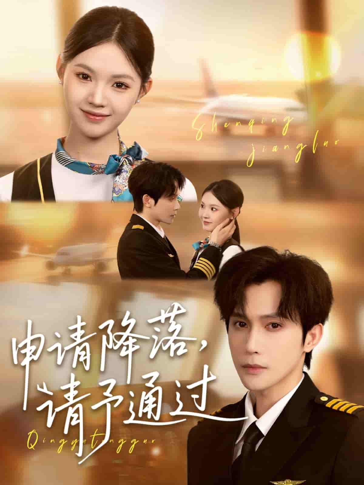 短剧《申请降落请予通过》 高清全集！免费在线观看，大结局已完结  第1张