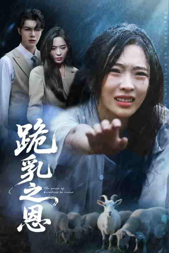 短剧《跪乳之恩》 高清短剧全集免费，完整版在线无障碍自由观看  第1张