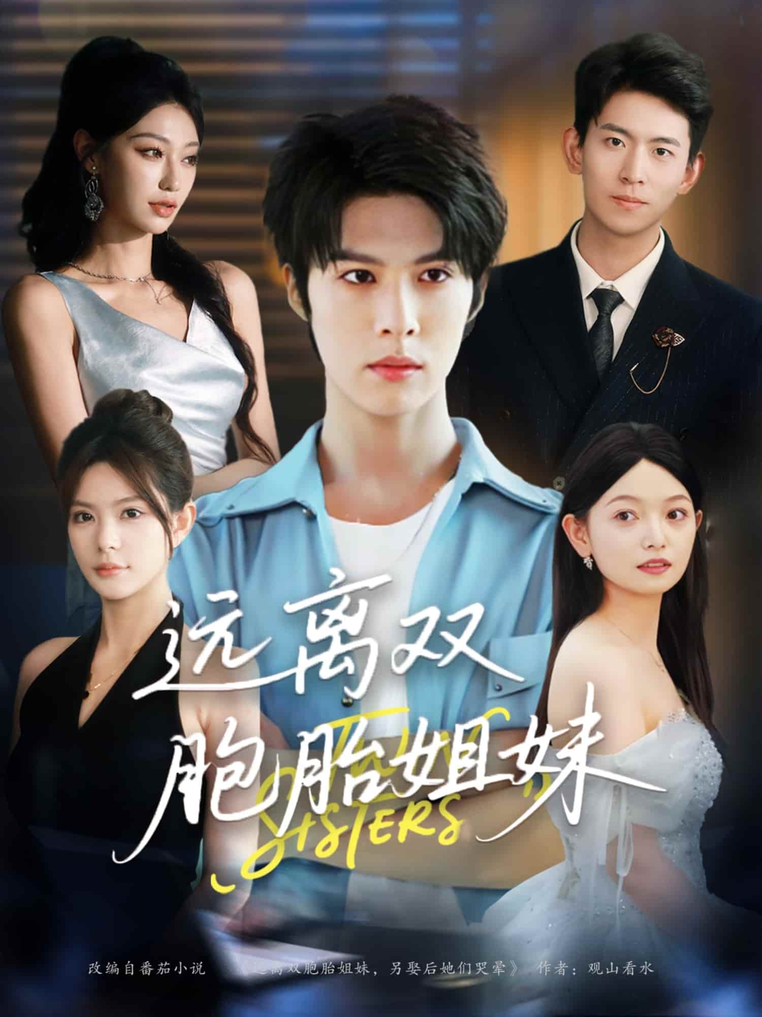 短剧《远离双胞胎姐妹》 全集免费在线，高清画质，大结局震撼揭晓  第1张