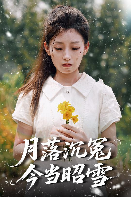 短剧《月落沉冤今当昭雪》 全集高清免费在线观看，大结局震撼揭晓！