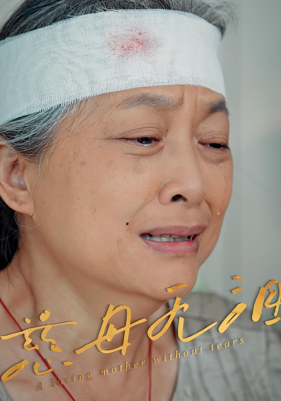 短剧《慈母无泪》 全集免费在线，高清画质，大结局震撼揭晓  第1张