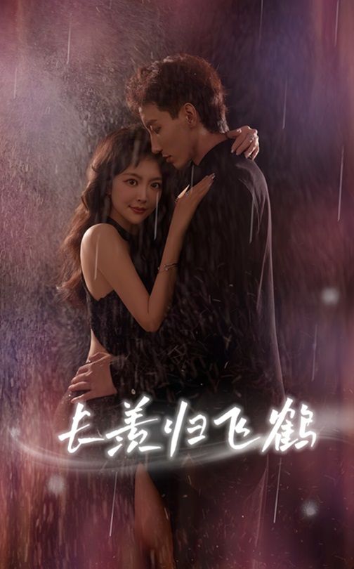 短剧 《长羡归飞鹤》 HD 高清全集完整版免费在线看，长羡归飞鹤高清全集在线观看