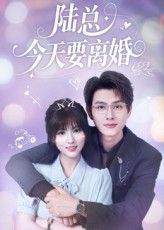 短剧 《陆总今天要离婚》 高清无删减全集完整版免费在线播放，陆总离婚记，高调上演