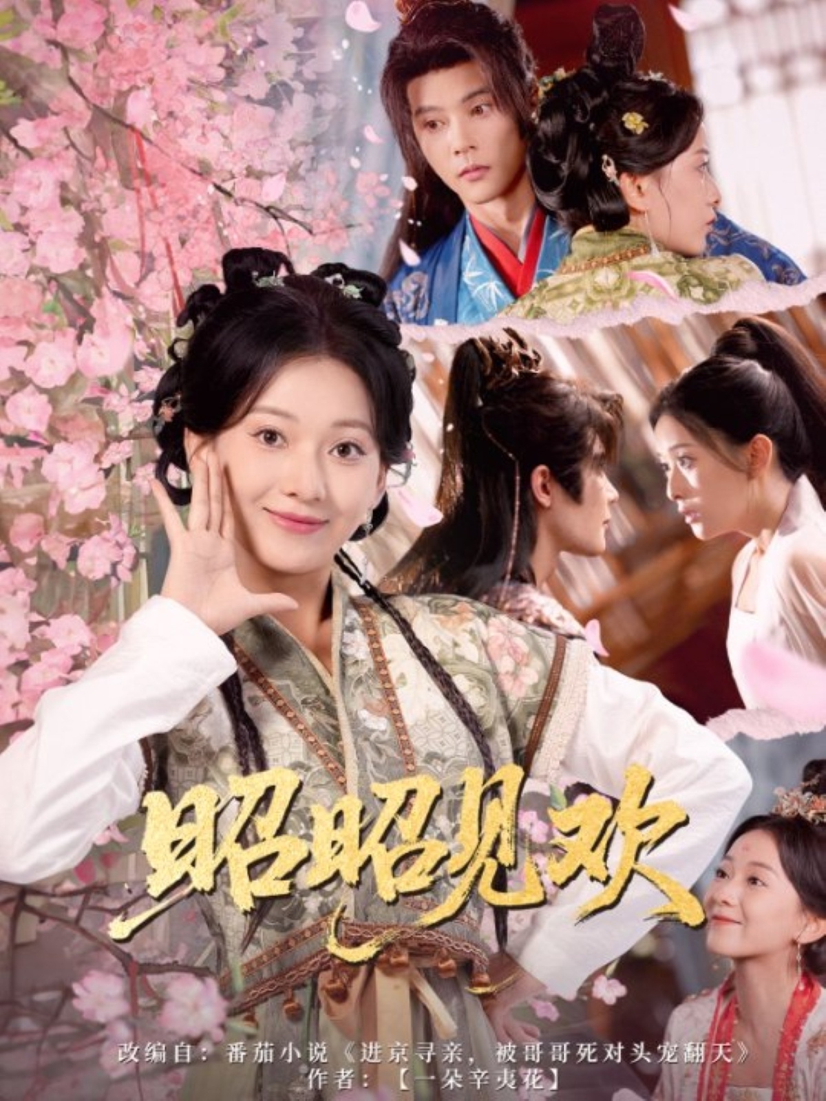 短剧 《昭昭见欢》 高清作品全集免费在线观，完整版尽享精彩,昭昭见欢,第1张