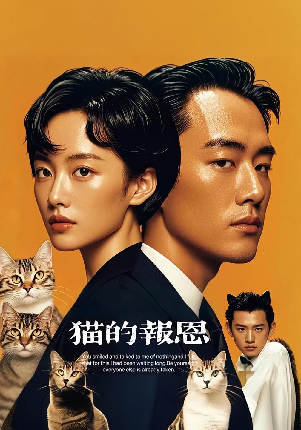 短剧 《猫的报恩》 免费高清内容全集在线，完整版观看无束缚,猫的报恩,第1张