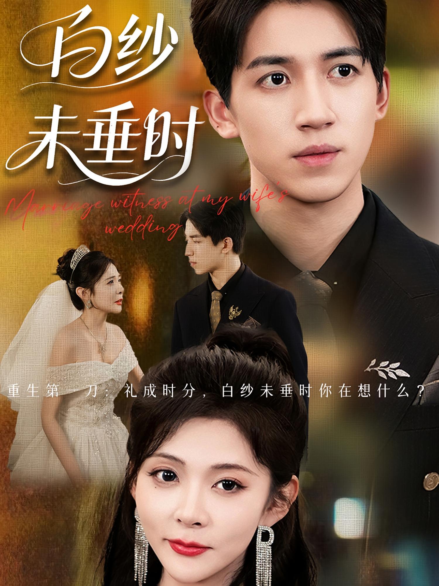 短剧 《老婆婚礼我当证婚人&白纱未垂时》 高清全集无删减版在线免费看